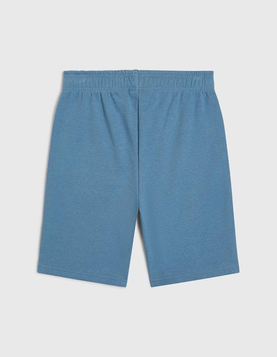 Immagine prodotto O'Neill Logo Sweatshorts (104)