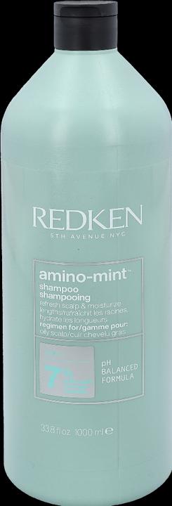 Immagine prodotto Redken Amino Mint (1000 ml, Shampoo secco)