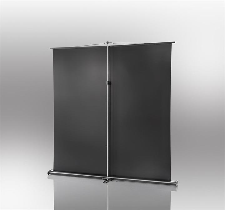 Immagine prodotto Celexon Ultramobil Professional (55.91", 16:10)