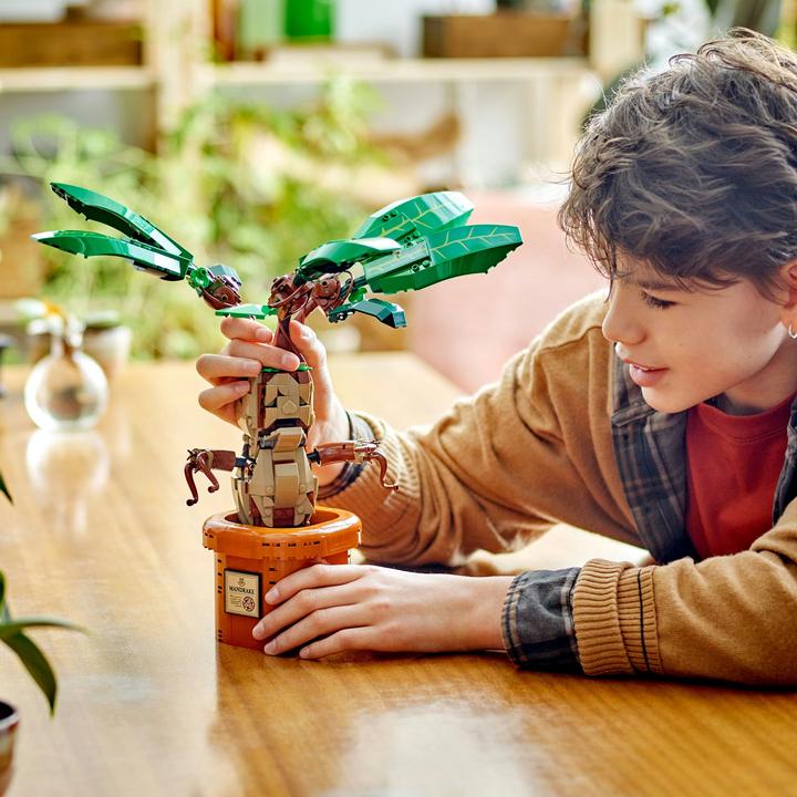 Produktbild LEGO Zaubertrankpflanze: Alraune (76433, LEGO Harry Potter)
