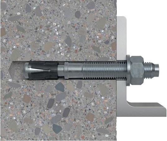 Actual product image Fischer Anchor bolt (25 pcs.)