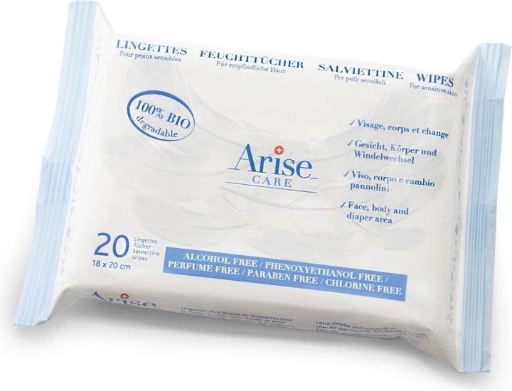 Arise Traveller (20 Pezzo/i)
