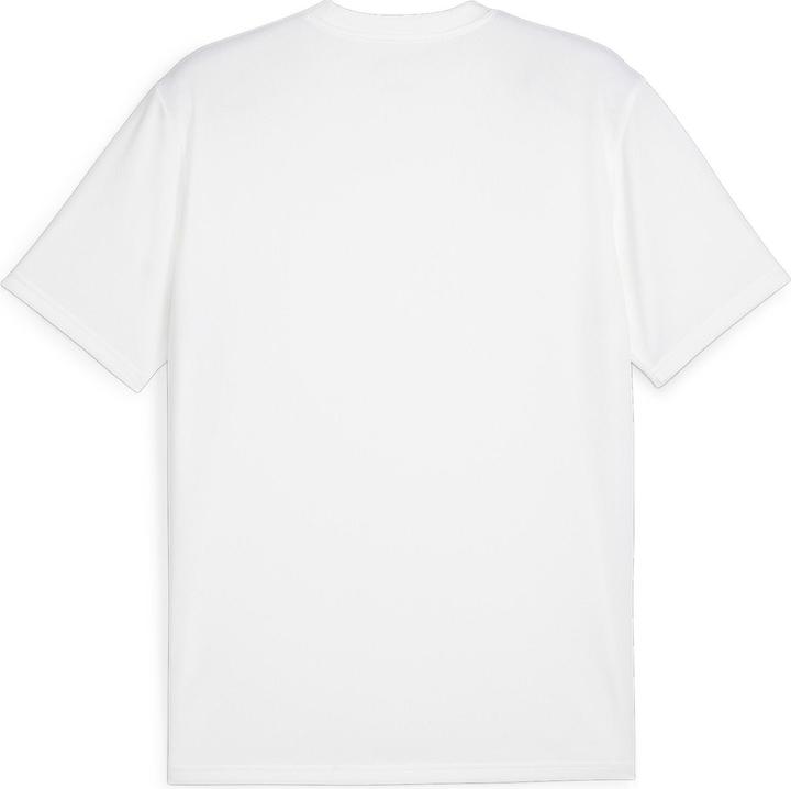 Actual product image Puma teamGOAL Jersey (S)
