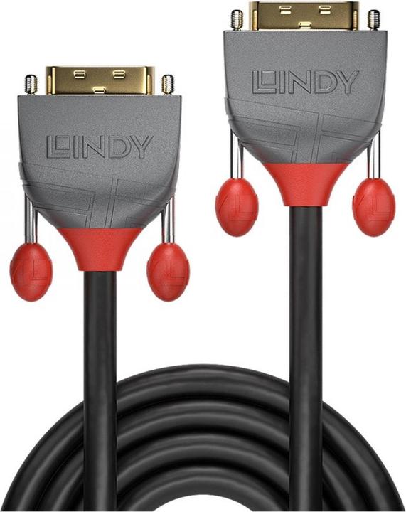 Immagine prodotto Lindy Dvi — Dvi (0.50 m, DVI)