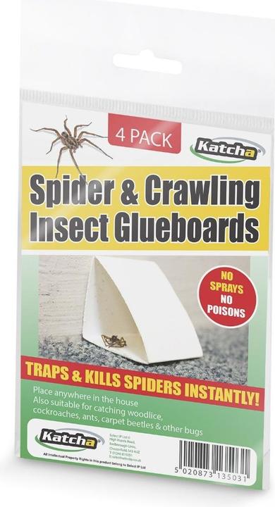 Katcha Klebefalle Spinnen & Insekten
