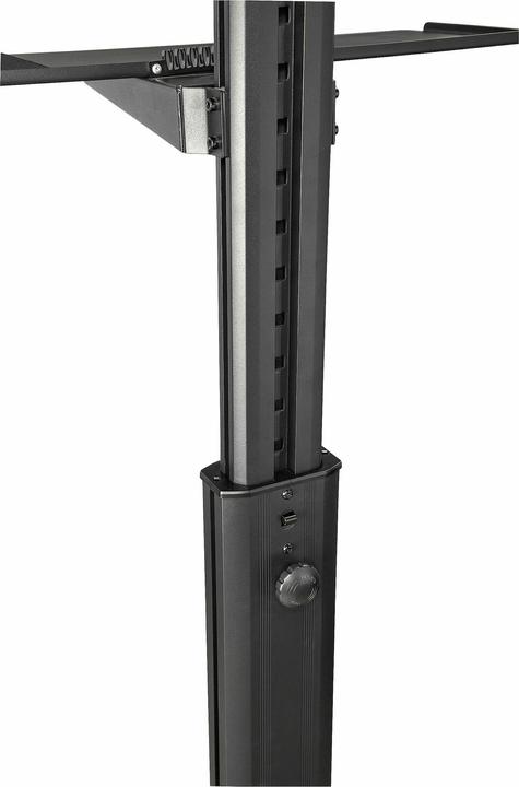 Actual product image StarTech com Pupitre de Travail Mobile avec Support Écran - Support pour Tour PC et Clavier - Chario (Table)