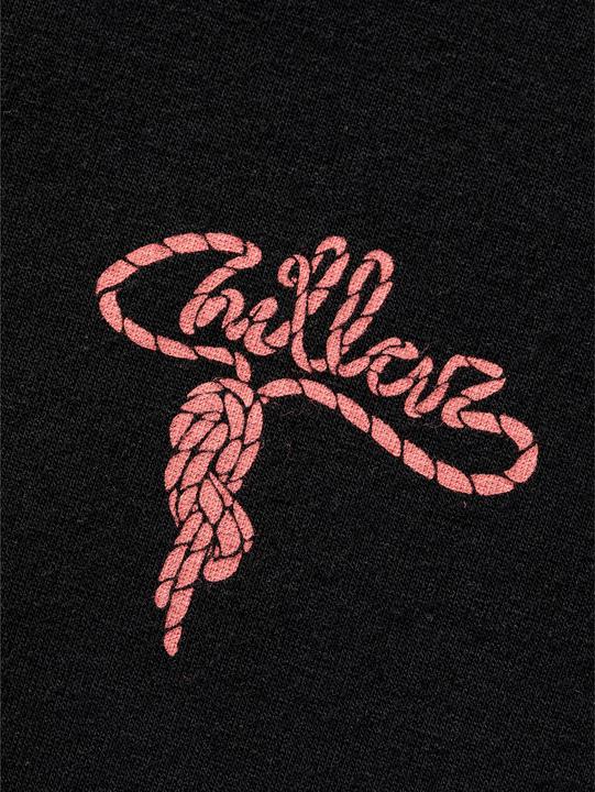 Actual product image Chillaz Women's Iseo Mountain Logo T-Shirt (38, M)