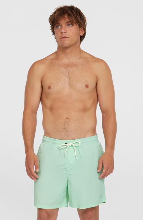 Actual product image O'Neill VERT 16" SWIMSHORTS (M)