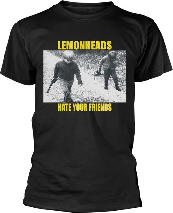 The Lemonheads Hate Your Friends (S)
