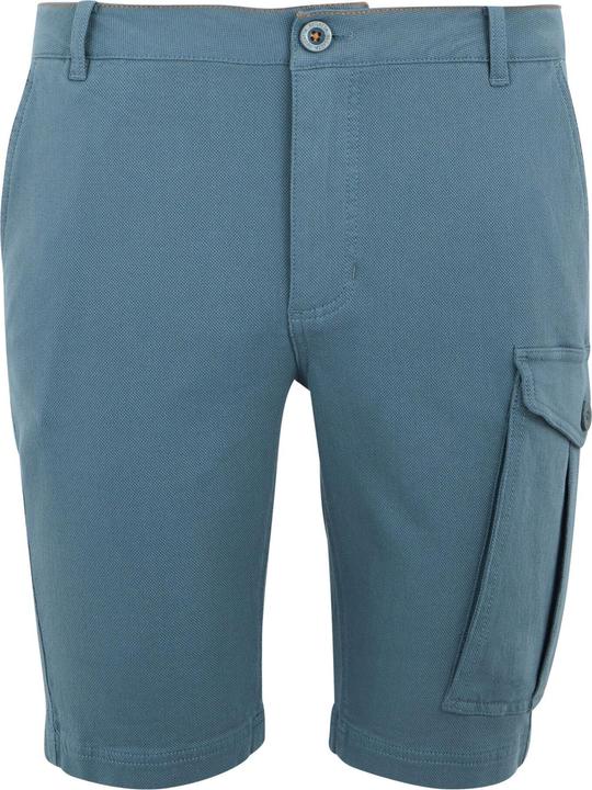 Regatta Bendrick Shorts