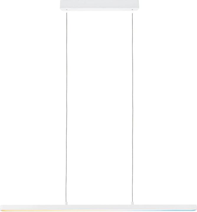 Paulmann PAUL LED hanglamp (2100 lm)
