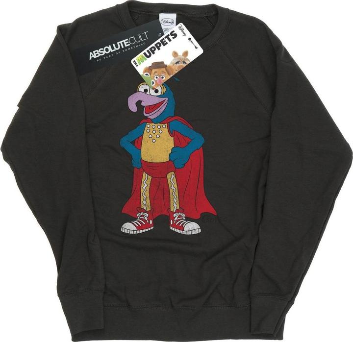Gildan Classic Sweatshirt (XL)