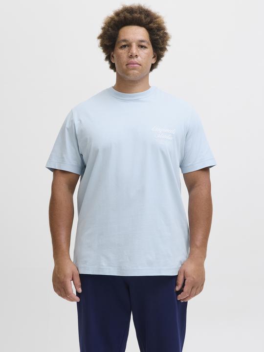 Actual product image Jack & Jones Plus Size T-shirt T-shirt (4XL)