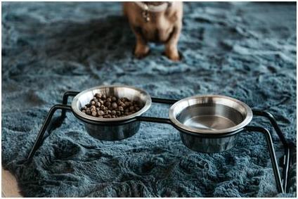 Produktbild Kentucky Dogwear Futternapf Comfort Feeder- (0.80 l)