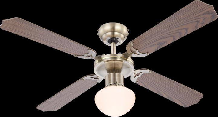 Produktbild Globo Champion (50 dB)