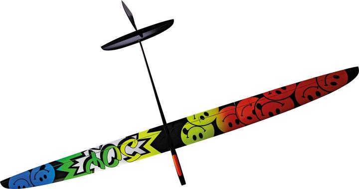 Actual product image Flyinger Joy F5J 2,5m Carbon Normal Version "Smiley" competition model by MH (Mykola Horb