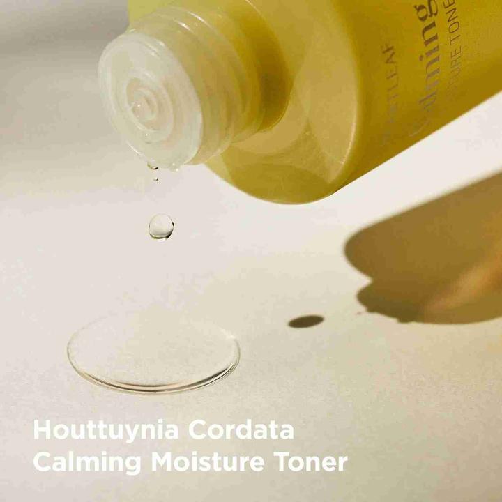 Actual product image Goodal Houttuynia Cordata Calming Moisture Toner (300 ml)