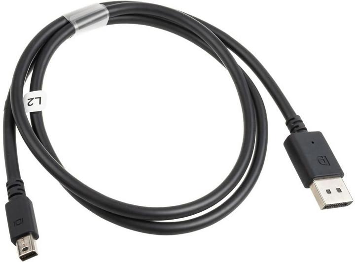 HTC Cable DisplayPort Mini - DisplayPort 1m black (GAVR-053)