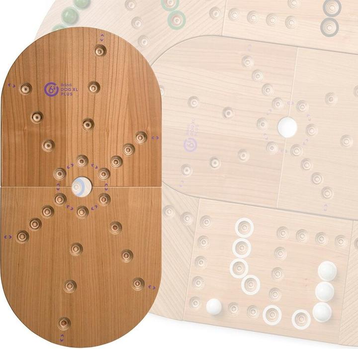 Actual product image Brändi Dog XL Plus (German, French, English, Italian)