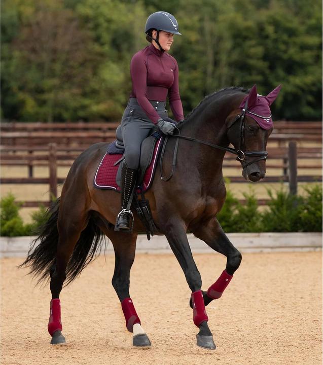 Premier Equine Air-Tech Sports Medecine