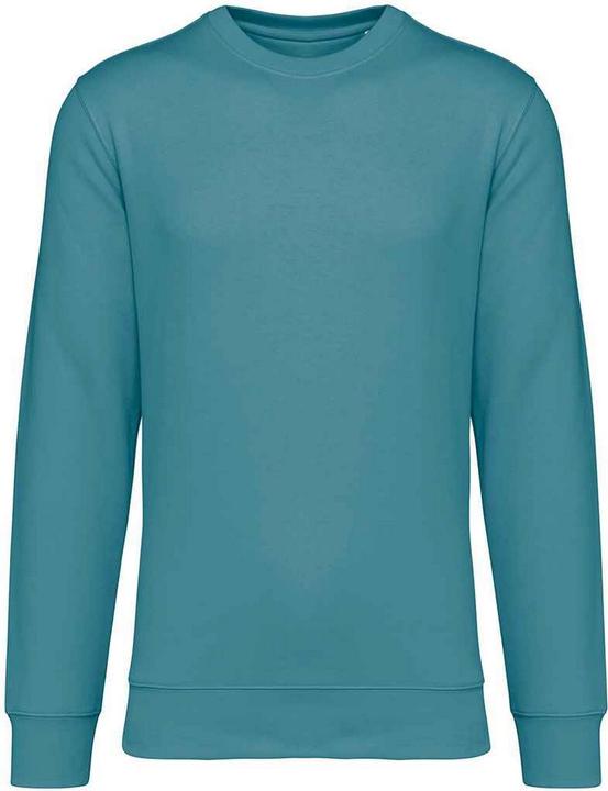 Native Spirit Sweatshirt Rundhalsausschnitt