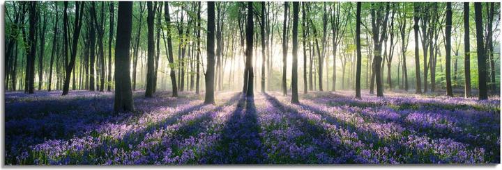 Produktbild Eibert Visual Enchanted Forest (156 x 52 cm)