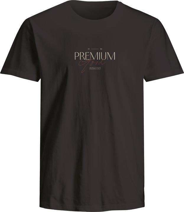 Actual product image Jack & Jones Jprblaharold Ss Tee Crew Neck Fst (L)