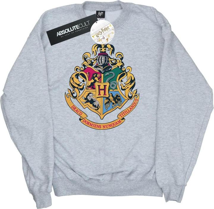 Immagine prodotto Hogwarts Crest Gold Ink Felpa Uomo (4XL)