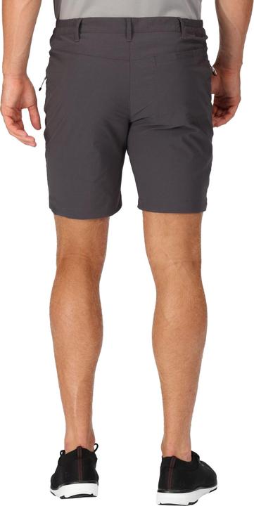 Actual product image Regatta Mens Highton Walking Shorts (46)