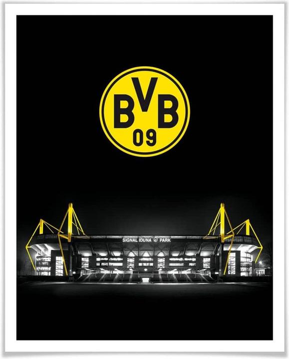 Actual product image Borussia Dortmund BVB Signal Iduna Park by night emblem (80 x 100 cm)