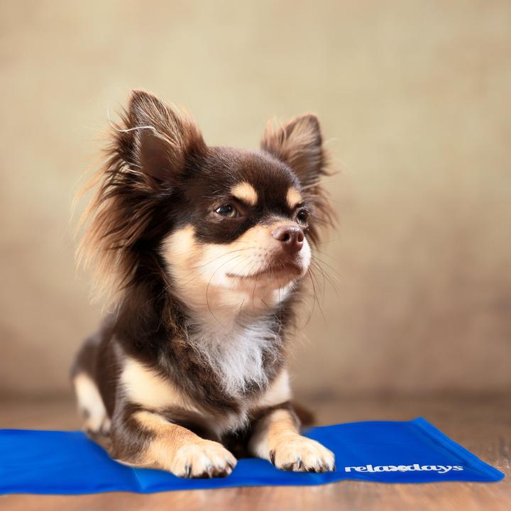 Produktbild Relaxdays Kühlmatte Hund (Hund)