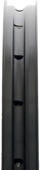 Immagine prodotto Notubes Crest MK4 (Ruota posteriore, 29")