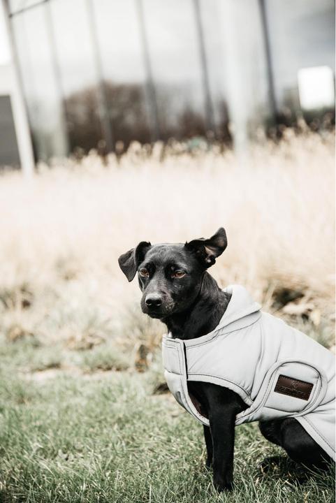 Produktbild Kentucky Dogwear Hundemantel reflektierend & wasserabweisend bauchdeckend 150g (Hundemantel)