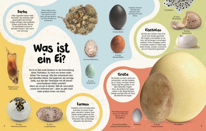 Actual product image From the egg (German, S. James Reynolds, Robert Burton., Ella Ginn, Kim Taylor, Jane Burton, Claudia Wagner, DK Verlag - Kids, 2024)