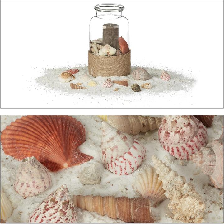 Produktbild Relaxdays Muschel Set (18 x 18 x 11 cm)