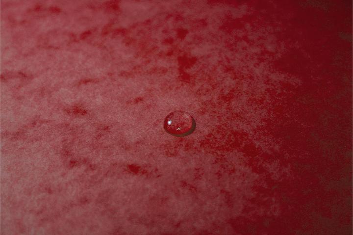 Immagine prodotto Exacompta Raccoglitore con elastico (A4, 1 x)