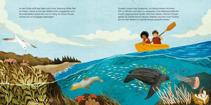 Produktbild Unsere Welt: Ozeane (Deutsch, Louise Spilsbury, 2024)