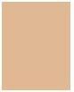 Actual product image L'Oréal Paris Infaillible (125 Natural Rose)