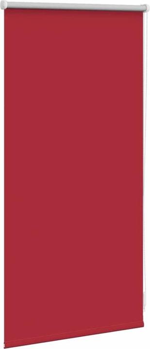 Image du produit VidaXL Rollo (40 x 100 cm)