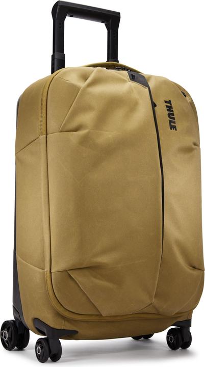 Thule Aion (35 l, Handgepäck (bis 50l))