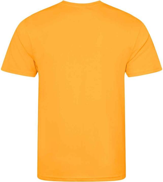 Produktbild Awdis TShirt (XL)
