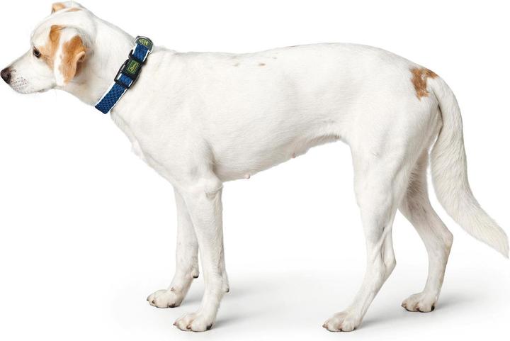 Produktbild Hunter Hundehalsband Hilo Vario Basic (M, L, Hund, Allgemein)