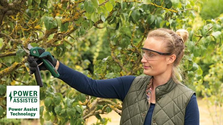Produktbild Bosch Home & Garden EasyPrune