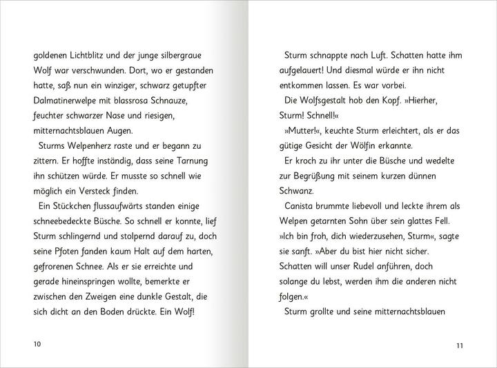Produktbild Auf magischen Pfoten – Tapsige Abenteuer (Deutsch, Katharina Jürgens, Angela Swan, Meret Farin, Sue Bentley, 2024)