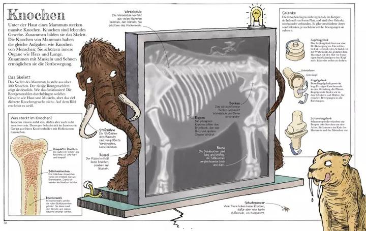 Produktbild Das Mammut-Buch Naturwissenschaften (Deutsch, Marcus Würmli, David Macaulay, 2021)