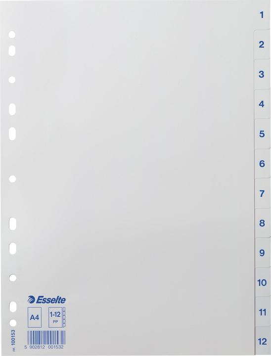 Leitz Esselte plastic registers, numbers, A4, 1-12, white universal perforation, dimensions: (W)225 x