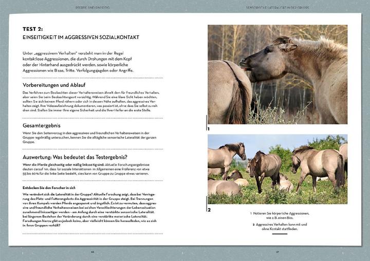 Produktbild Kosmos Lateralität bei Pferden (Deutsch, Isabell Marr, Farmer, Kate Konstanze Krger, 2024)