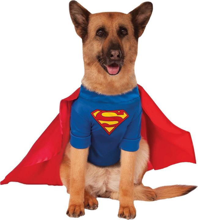 Vêtements pour chien