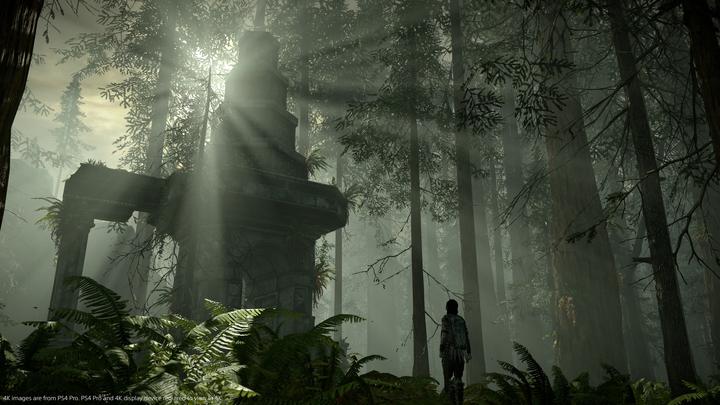Actual product image Sony Interactive Entertainment Shadow of the Colossus PlayStation 4 (PS4, DE)