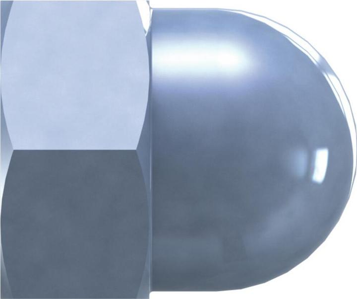 Reisser Hutmutter, DIN 1587, 6-Kant, M 8, Stahl, verzinkt, blau passiviert, verpackt a 100 (M8)